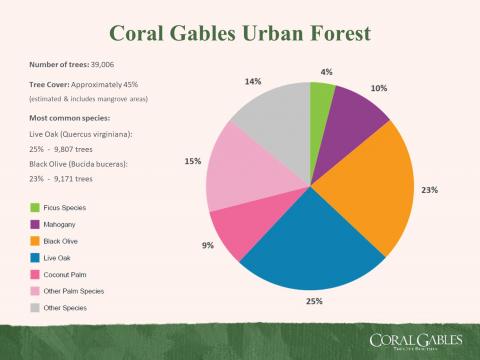 Tree Count Graph