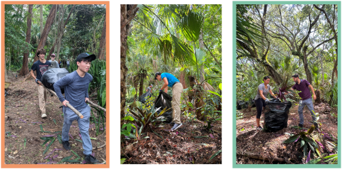 Pinewood Cemetery Cleanup