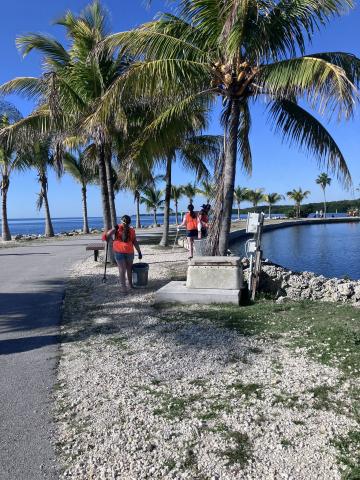 Volunteers in orange vests pick up trash from sandy park with blue sky and palm trees