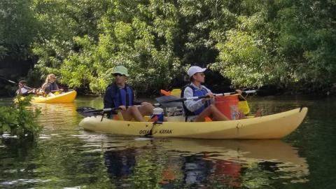 Three yellow kayaks float down a river on a sunny day