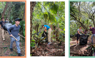 Pinewood Cemetery Cleanup