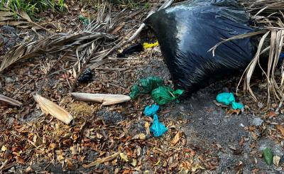 pet waste bags in a trash pit