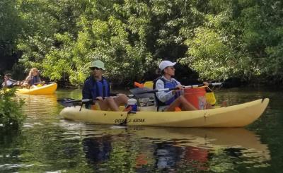 Three yellow kayaks float down a river on a sunny day