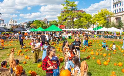 Adults stand around next to kids playing in a pumpkin patch on a sunny day